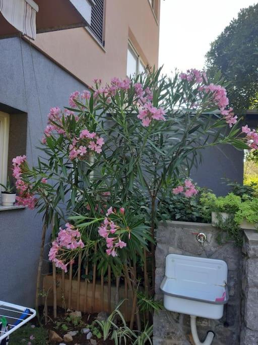 Apartman Modric Draga Moscenicka Draga Exterior photo